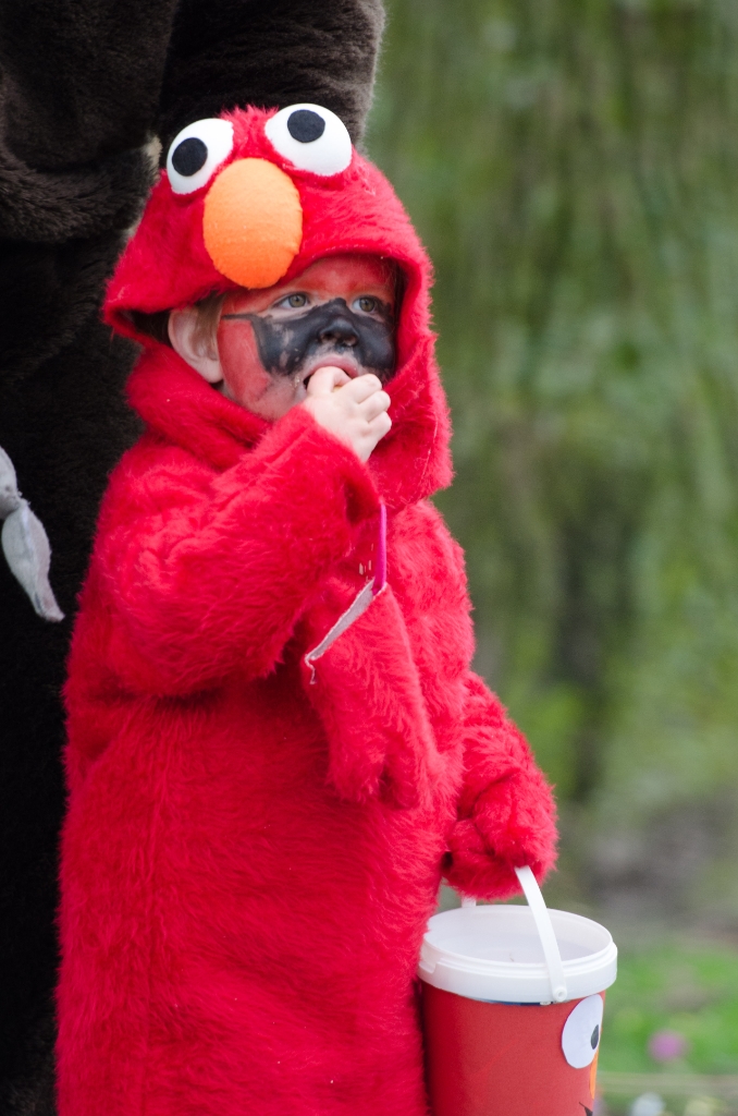 Carnaval zaterdag-272.jpg